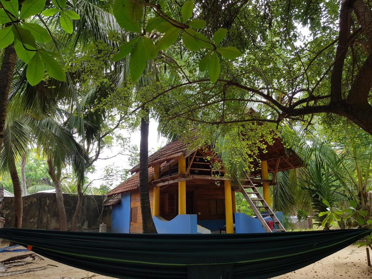 Albero Cabanas Аругам Экстерьер фото