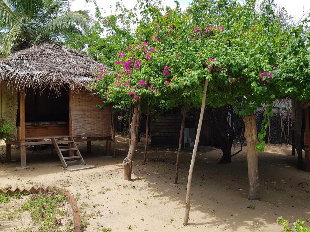 Albero Cabanas Аругам Экстерьер фото